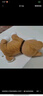 babycare 电动毛绒玩具会说话鸭子鹦鹉复读鸭儿童哄娃神器ai智能儿童礼物 毛绒小狗柴犬 电动毛绒玩偶 实拍图