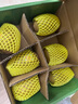 佳沛（zespri）新西兰  阳光金奇异果6粒装 单果约77-103g  源头直发  猕猴桃 实拍图