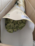 云南鲜花批发品质玫瑰百合水养鲜切花送女友生日礼物源头直发 【单头】粉色康乃馨-20支 【任选2件—不收运費】 实拍图