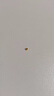 金小貅黄金转运珠999足金小金珠3D硬金路路通手串配珠DIY小孩手绳串珠 3mm[光面]0.02-0.04g标准版 实拍图