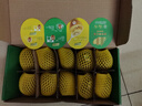 佳沛（zespri）绿奇异果10个装 宝宝果单果约77-89g 水果猕猴桃包邮 实拍图