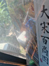 鳐鳐鱼（yaofish）儿童桌游戏棋亲子成人男女孩中小学生益智玩具家庭棋牌生日礼物 大宋百商图【8岁-成人】 实拍图