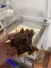 羚珑抽真空封口机商用大型工业真空机干湿两用不挑袋大吸力茶叶大米肉丸熟食卤味食品真空压缩包装机 抽干货-340型单泵【凸盖】 实拍图