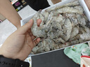 鲜京采 原装进口厄瓜多尔白虾 净重3.3斤 大号30-40规格 50-66只/盒 实拍图