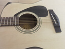 雅马哈（YAMAHA）F310NT 原声款 云杉木初学者入门民谣吉他圆角吉它41英寸亮光 实拍图