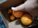 正宗湖北秭归手剥脐橙60mm~75mm产地直发新鲜果冻橙 秭归脐橙2.8斤60mm 实拍图
