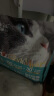 亿迪猫粮冻干幼猫成猫全价全阶段5斤布偶蓝猫英短小包装2.5kg 实拍图