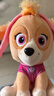 汪汪队立大功（PAW PATROL）汪汪队玩具毛绒全套狗狗玩偶公仔男女孩玩具旺旺队新年礼物 经典款-天天公仔【需选尺寸】 小号-坐高约15.2CM 实拍图