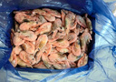 豪鲜品生鲜【25年新虾】丹麦北极甜虾(MSC认证)熟冻冰虾 90/120规格 净重3斤 实拍图