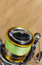 达亿瓦（DAIWA）24新款 REGAL CS 进口轻量纺车轮远投路亚轮 10轴小型通用钓鱼轮 LT 2500S-XH（浅线杯+高高速比） 实拍图