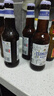 青岛啤酒（TsingTao）精酿白啤 全麦酿造 330ml*12瓶 整箱装 实拍图