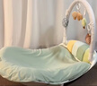 澳贝（auby）婴幼儿床中床摇摇乐摇椅健身架脚踏琴玩具防吐奶斜坡垫新生儿礼物 实拍图