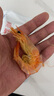 赶海弟 4XL特大九节虾干250g30-40只 即食烤虾大对虾仁干 休闲零食海鲜 实拍图