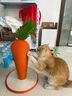 【京东物流】超大号胡萝卜猫抓板剑麻猫抓住猫爬架耐磨不掉屑 大号剑麻萝卜 实拍图