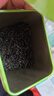 日照绿茶茶叶2025新茶有机茶浓香型豆香口粮茶桶装250g山东特产礼品 实拍图