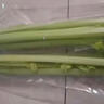  大芹菜约400g 实拍图