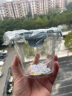 欣美雅（xinmeiya）玻璃杯子网红ins家用儿童水杯冲奶粉牛奶杯刻度吸管杯果汁早餐杯 【小鲸鱼】450ml+玻璃吸管 晒单实拍图