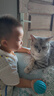 普安特宠物猫咪驱虫药体内外同驱幼猫驱虫跳蚤犬虱爱滴克非泼罗尼+内驱 实拍图