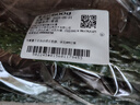 长黄瓜约600g 实拍图
