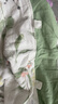 威尔贝鲁（WELLBER）婴儿睡袋前4后2儿童竹棉纱布分腿睡衣宝宝夏季防惊跳包被 熊猫XL 实拍图