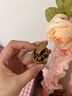 鲜级佳大凉山新鲜湿核桃去青皮嫩核桃老树薄纸皮核桃孕妇专用生核桃新货 净重5斤【去青皮】送夹子 实拍图