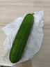 京鲜生 山东水果嫩黄瓜 净重5斤 单根70g+ 小青瓜生吃水果瓜 源头直发 实拍图