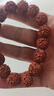 爆肉树王小金刚菩提手串佛珠文玩双龙纹金刚菩提盘玩手链手串盘玩 12厘手串（约17颗） 实拍图