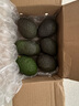 山姆大叔 金奖·哈斯牛油果云南孟连【闪送】当季鳄梨非即食新鲜水果礼盒 尝鲜果丨约80-100g 6枚【20%选择-较划算】普装 实拍图