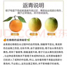 京觅 秭归脐橙伦晚脐橙 9斤 果径70mm+ 新鲜应季水果甜橙子 源头直发 实拍图
