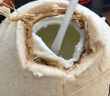 京鲜生越南进口椰青椰子9个装 大果单果900g+ 新鲜水果 源头直发包邮 实拍图