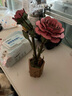 若物木艺繁花积木花diy手工花老师立体拼图毕业礼物老师 粉康乃馨 实拍图