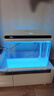 森森（SUNSUN）鱼缸水族箱客厅家用生态桌面金鱼缸免换水懒人鱼缸一体缸自循环 48cm长 内置棉和滤材 实拍图