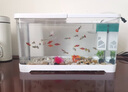 阔庭（KUOTING）鱼缸水族箱生态桌面鱼缸新款懒人鱼缸过滤制氧一体机黑色【大号】 实拍图