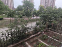 两腿跑【送货上门】爬藤架葡萄黄瓜豆角架种菜花支架庭院园艺花卉支撑杆 粗16mm长240cm10支 特大 实拍图