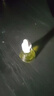 隆力奇多效蛇油舒润精华油水油同补淡化皱纹紧致保湿舒缓肌肤男女士12ml 经典款3瓶（水油4:6  淡化皱纹） 实拍图
