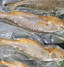 海名威 冷冻宁德三去黄花鱼600g/2条 大黄鱼 生鲜鱼类 海鲜水产 端午 实拍图