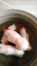 克雷蒙【精排条】猪排骨 新鲜宰杀 猪肋排 无脊骨 鲜货速冻猪肉生鲜 整只猪蹄*带筋6只净重*小香猪蹄 实拍图