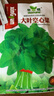 播种心情 家庭种植蔬菜种子孑籽大全四季播种阳台盆栽农家庭院小菜园有机 空心菜种子2包 实拍图