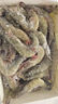 渔游记（YUYOUJI）厄瓜多尔南美白虾3.2斤 5060虾 25-30只/斤 白虾基围虾生鲜 虾类 实拍图