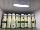 伊利金典3.8g乳蛋白 鲜活纯牛奶整箱 250ml*8瓶 30天常温短保 礼盒装 实拍图