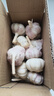 【营田半亩】蒜干蒜头蒜大蒜紫白皮大蒜当季蔬菜0.5-5斤 2斤带箱重【果径3.5-4.5cm】中果 实拍图