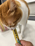 多特思(DOTUS) 猫零食猫条混合口味15g*55支整桶装成猫幼猫咪零食湿粮 实拍图