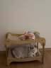 剑麻猫抓板行军床猫窝夏季藤编凉席猫狗沙发离地宠物吊床 加大双层床-麻垫款 实拍图