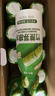 哪吒捏爆竹蔗茅根水300g*10礼盒马蹄水甘蔗汁植物凉茶饮料 实拍图