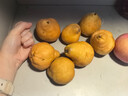 烟台中华丑梨 太婆蜜梨软梨子核小甜糯多汁当季新鲜水果整箱 中华丑梨带箱2斤2-7个 实拍图