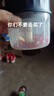 绞肉机小型打蒜器家用绞蒜切蒜器多功能辅食料理机电动蒜泥神器蒜蓉机自动切菜机压蒜器 蓝色-升级大电机 0.26L 实拍图