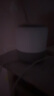 小度智能音箱 旗舰版 百度蓝牙音响 语音AI控制家居 闹钟收音机 儿童早教启蒙故事机 老人陪伴礼物送礼 实拍图
