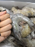 口水时代 盐冻海捕青岛大虾20/30大号鲜活冷冻白虾青虾对虾基围虾海鲜水产 17-20cm大虾 3斤(净重)  整箱发货 实拍图