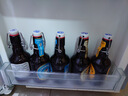弗林博格（Flensburger）多口味组包啤酒330ml*6瓶尝鲜混合装 多种口味 一次尝鲜 实拍图