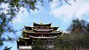 索尼（SONY）FE 24-70mm F2.8 GM II 全画幅标准变焦大三元二代G大师镜头SEL2470GM2 虚拟货品1 官方标配 实拍图